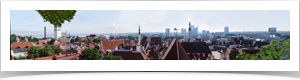 Panorama of town from castle wall on hill top.